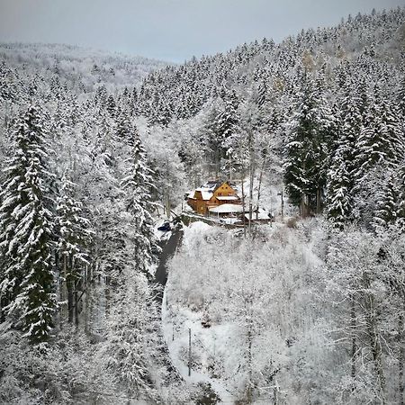 Pensjonat Alpejski Dwor ミエンジグジェ エクステリア 写真