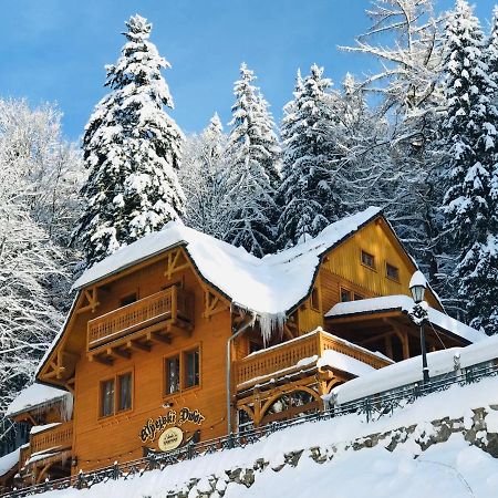 Pensjonat Alpejski Dwor ミエンジグジェ エクステリア 写真