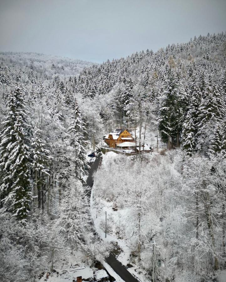 Pensjonat Alpejski Dwor ミエンジグジェ エクステリア 写真