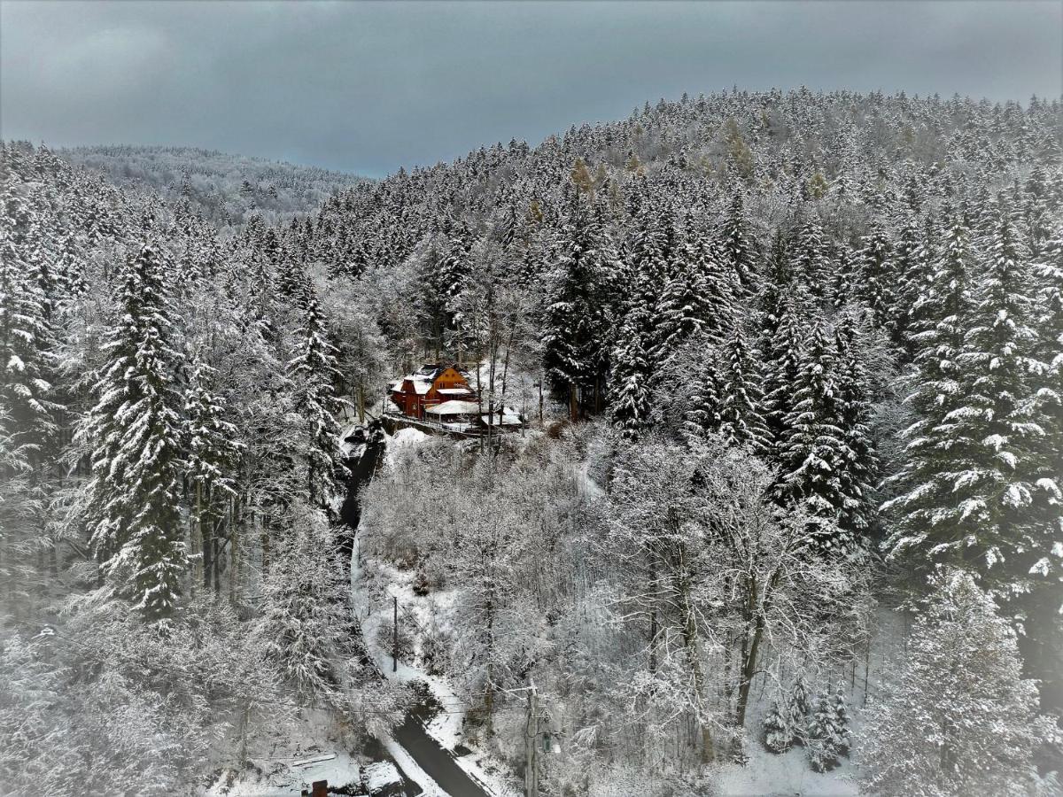 Pensjonat Alpejski Dwor ミエンジグジェ エクステリア 写真