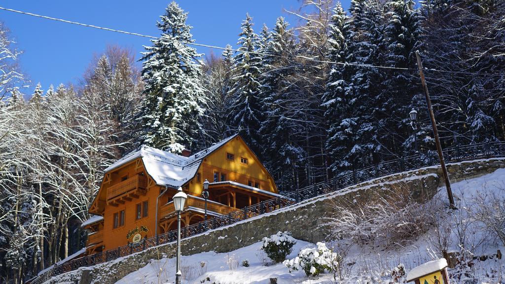 Pensjonat Alpejski Dwor ミエンジグジェ エクステリア 写真