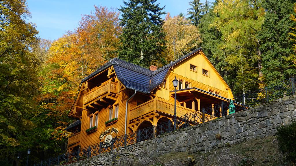 Pensjonat Alpejski Dwor ミエンジグジェ エクステリア 写真